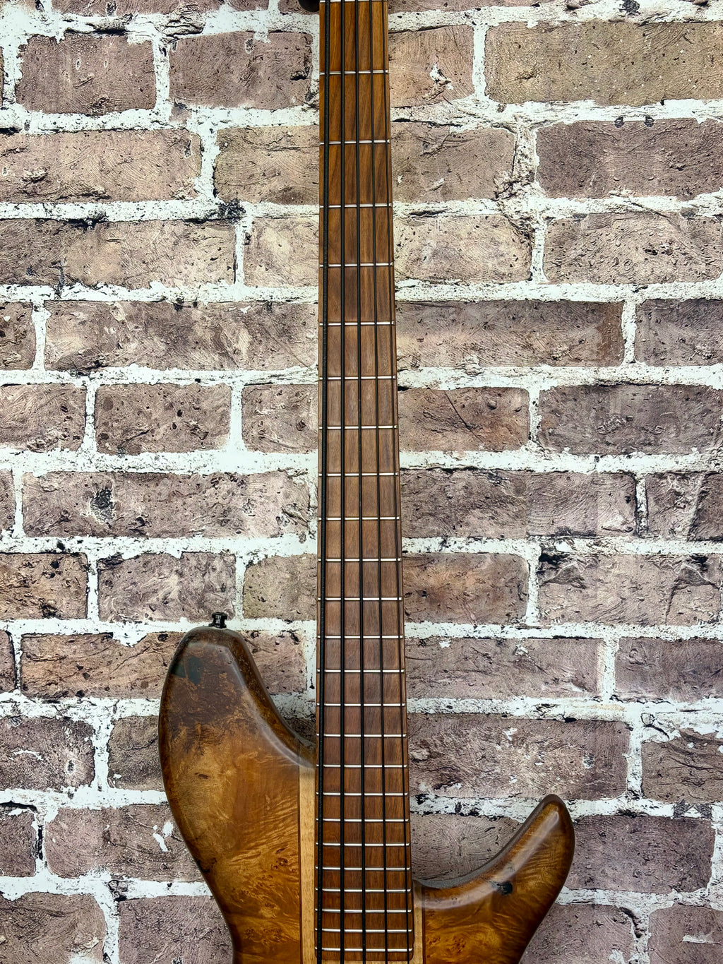 Marco MV Series Boutique 5-String Bass Burl Top Passive