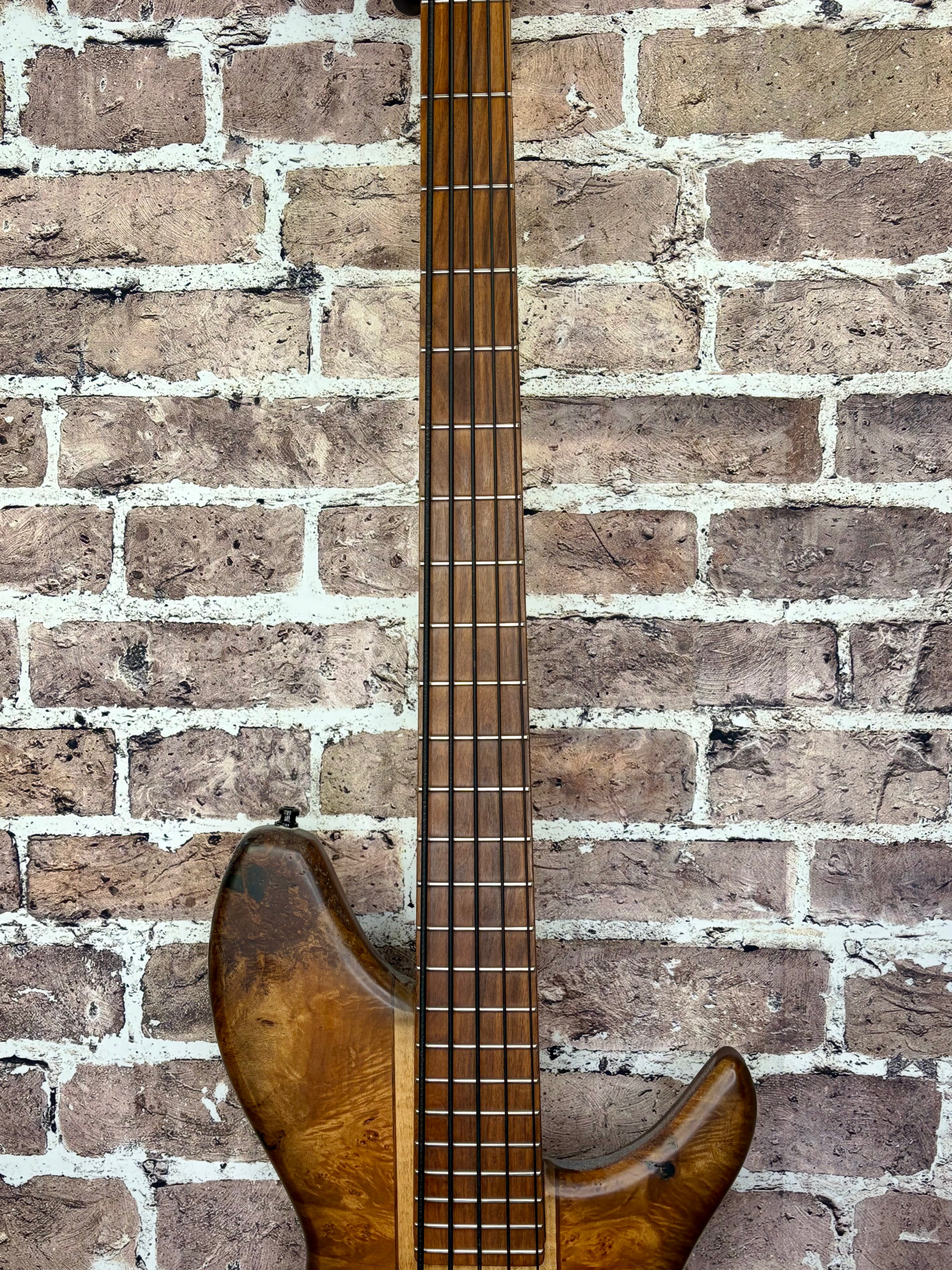 Marco MV Series Boutique 5-String Bass Burl Top Passive