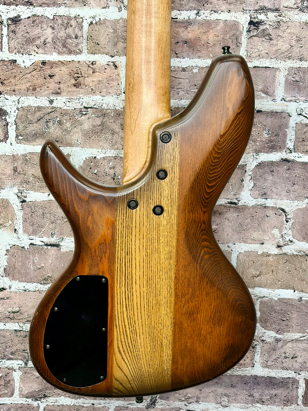 Marco MV Series Boutique 5-String Bass Burl Top Passive