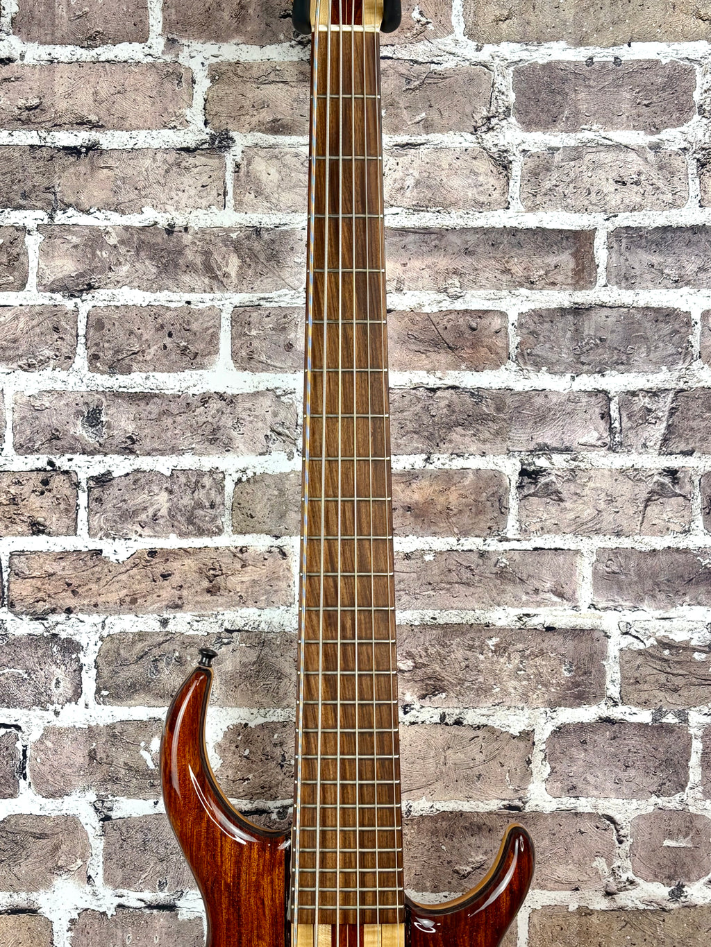 Tobias Pre-Gibson 6-String Bass Vintage Boutique Icon