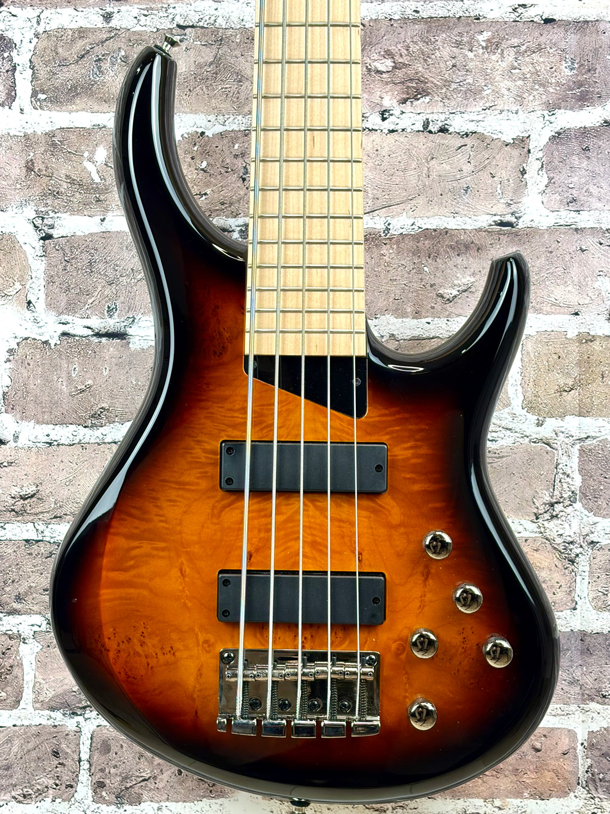 MTD Kingston Z5 5-String Bass