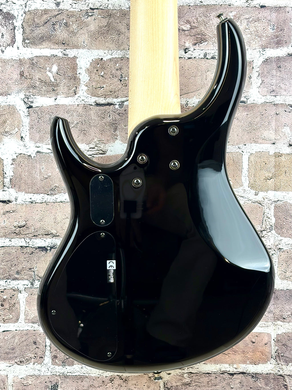 MTD Kingston Z5 5-String Bass
